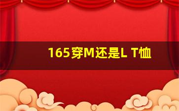 165穿M还是L T恤